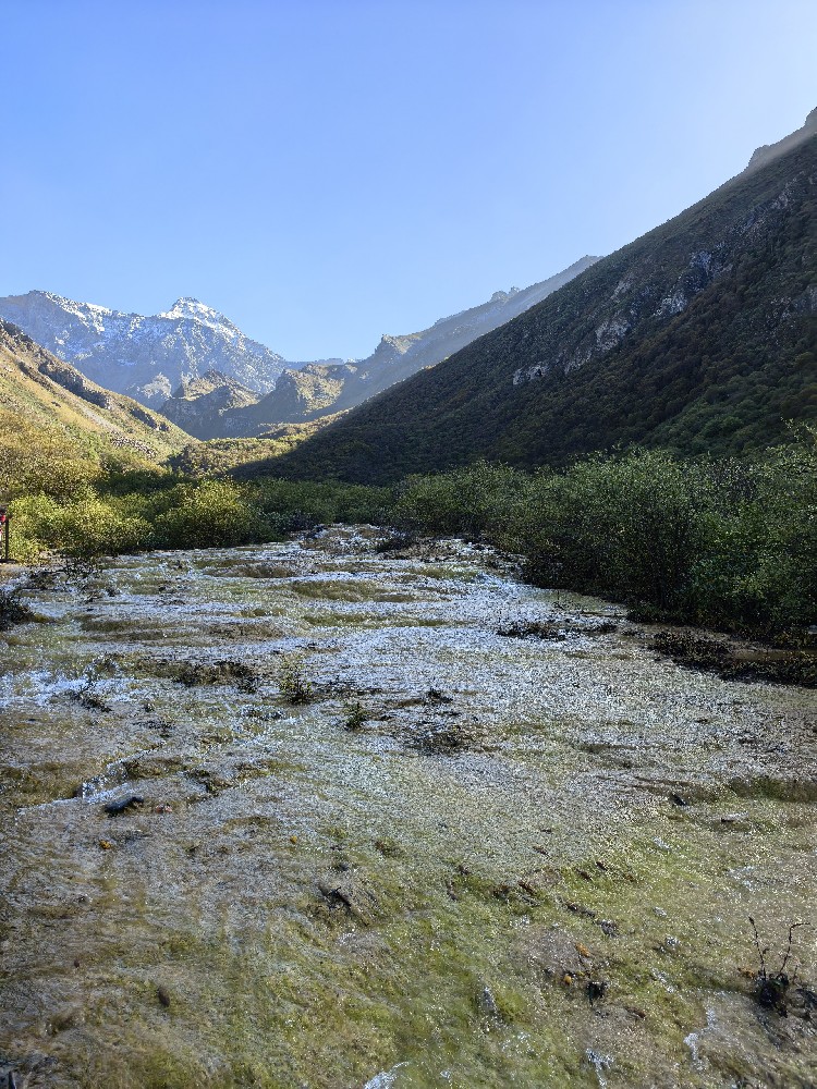 四川巴地国际旅行社资料下载专区