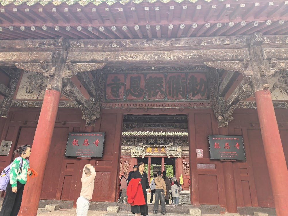 四川巴地国际旅行社资料下载专区使用指南及热门资料汇总